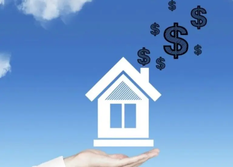 home image on the hands